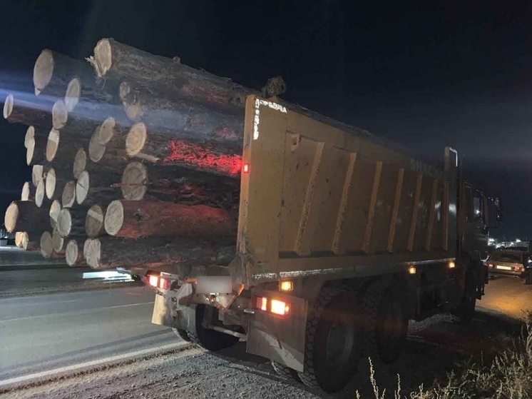 В Туве проверяют автомашины для выявления незаконно заготовленной древесины