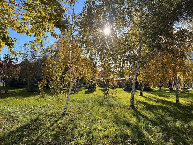 Индивидуалки в саратове фото