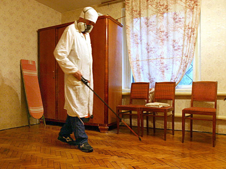 В Бельгии испугались возможного нашествия клопов из Франции