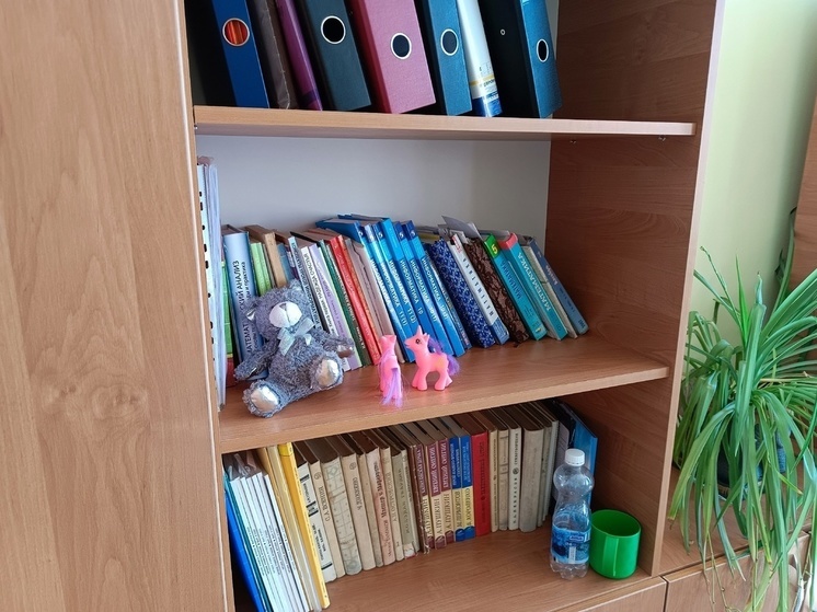 В ДНР обновят библиотечные фонды классической литературы