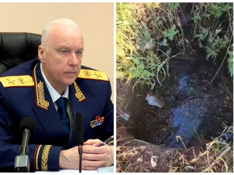 Появились подробности падения 8-летней девочки в сливную яму под Новосибирском