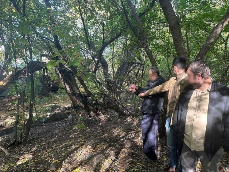 Зверски убитую жительницу Барнаула могли насильно заставить пить алкоголь
