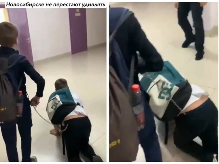 Один ученик водил другого на цепи по коридорам школы в Новосибирске