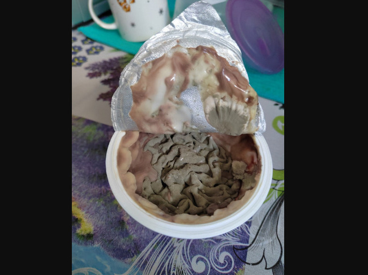 Новокузнечанку испугало содержимое в упаковке йогурта с магазина
