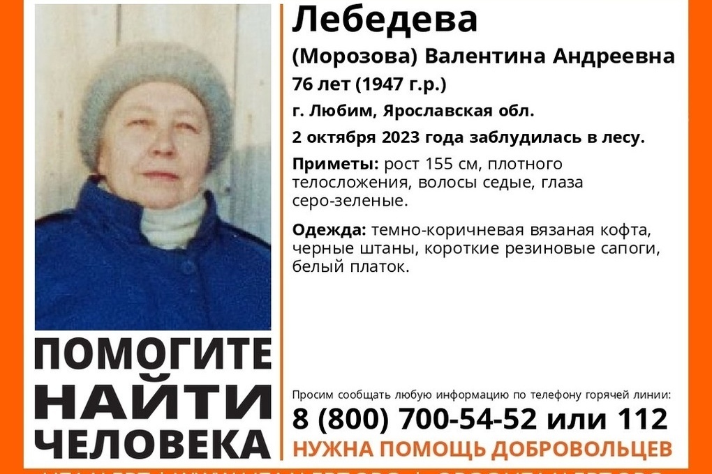 Костромские добровольцы выехали на поиски пожилой ярославны, пропавшей в лесу три дня назад