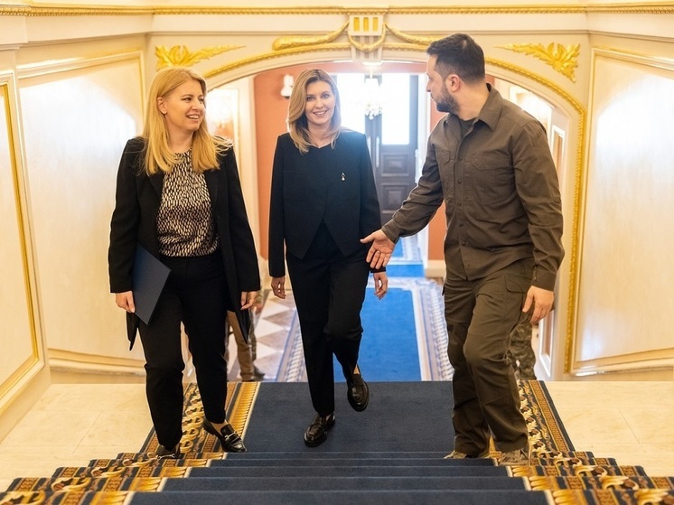 Президент Словакии призвала отложить выделение помощи Украине до созыва парламента