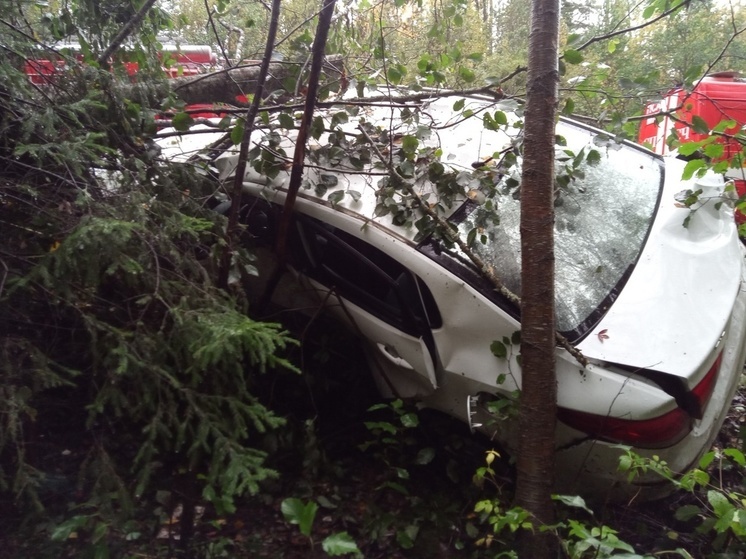Стало известно, кто перевернулся под Петрозаводском