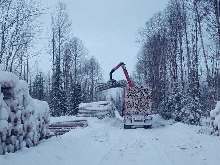 Международный форум «Российский лес» пройдет в Вологде в декабре