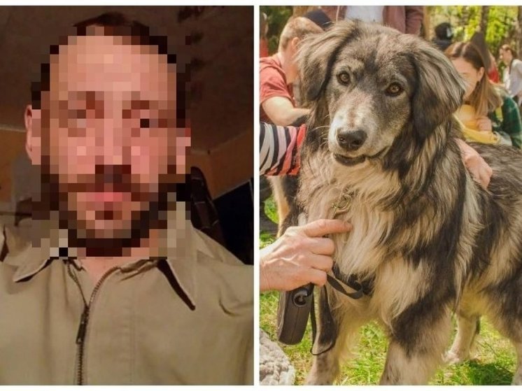 В Новосибирске полиция возбудила уголовное дело после убийства пса Байкала