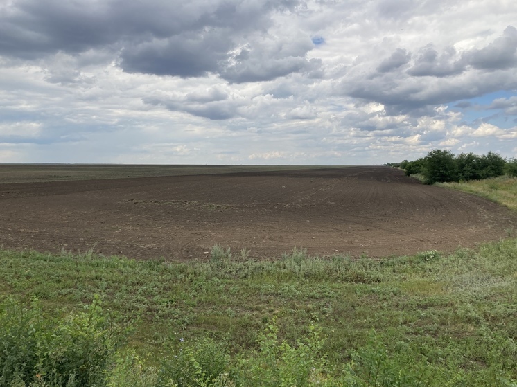 Индивидуалки в саратове фото