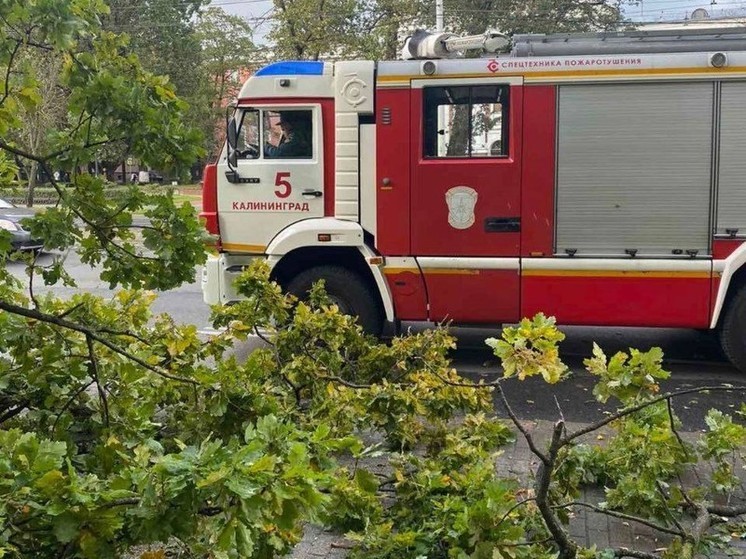 В МЧС рассказали о последствиях непогоды в Калининградской области