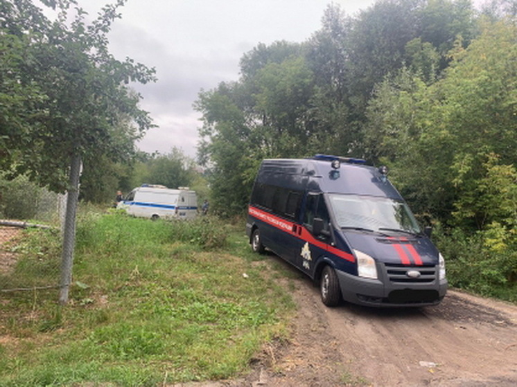 В Курске осудят 32-летнюю женщину за убийство гостя ножом