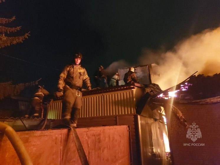 В пензенском МЧС прокомментировали пожар в цыганском поселке