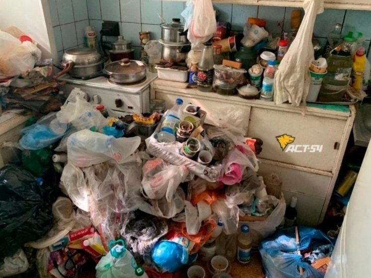 В Новосибирске жители обвинили соседа в появлении тараканов и клопов в доме на Карамзина