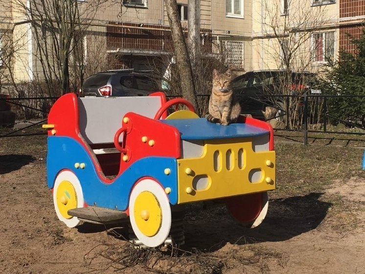 Отвечающих за опасные детские площадки в Мурманске привлекли к ответственности