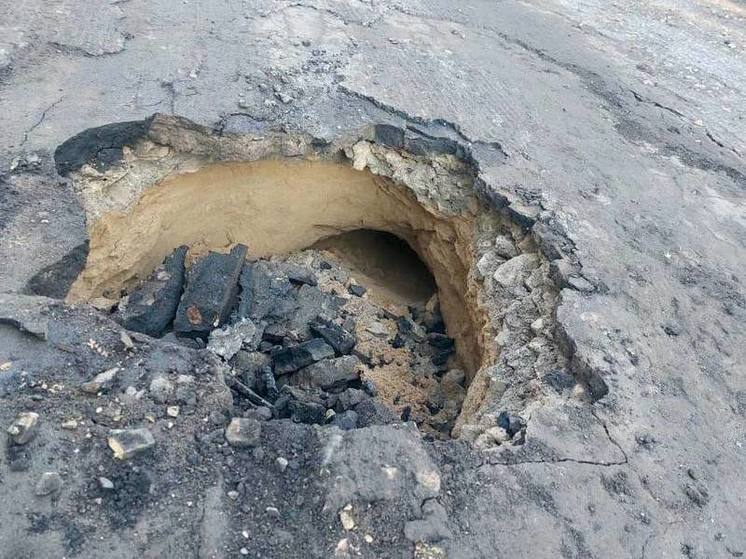 Бобры построили нору на ремонтируемом участке дороги к садоводству «Пупышево»