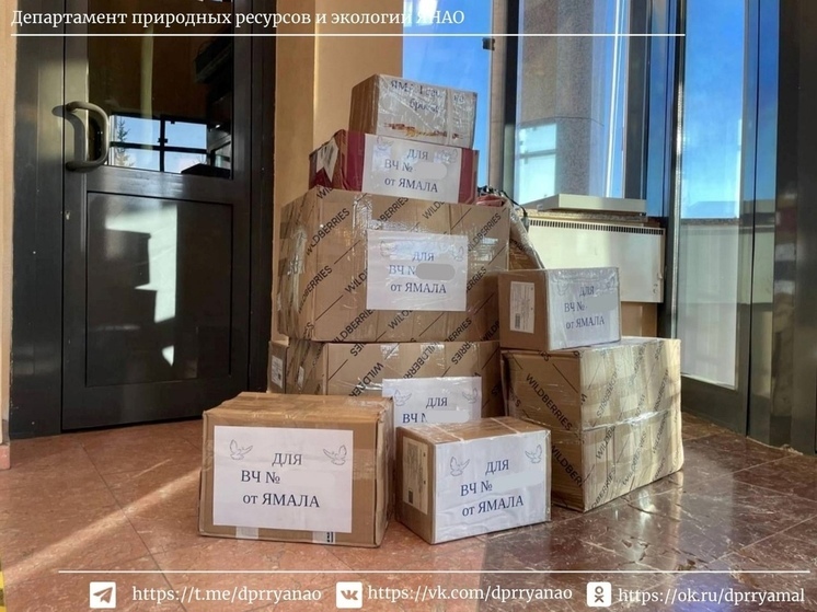 В департаменте природы ЯНАО для бойцов СВО собрали 12 коробок самых необходимых вещей