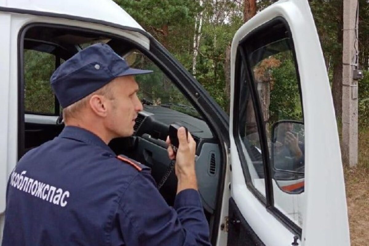 Спасатели помогли грибнику в Орехово-Зуево найти дорогу домой
