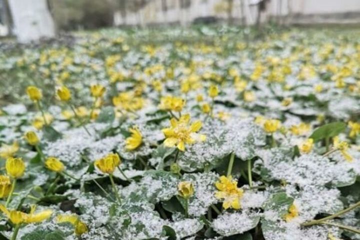 Фото логопарка в ростовской области