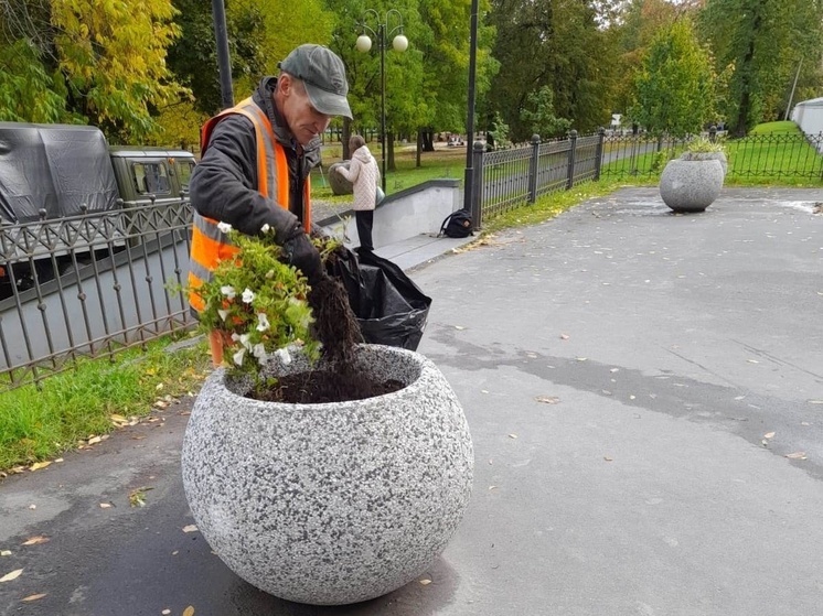 Цветочные клумбы в Петрозаводске законсервировали до весны