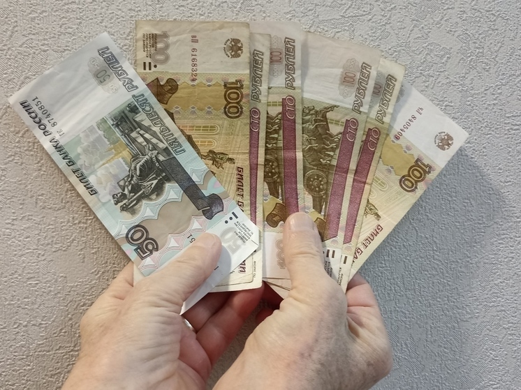 За 6 месяцев владимирцы набрали микрозаймов на 151 млн рублей