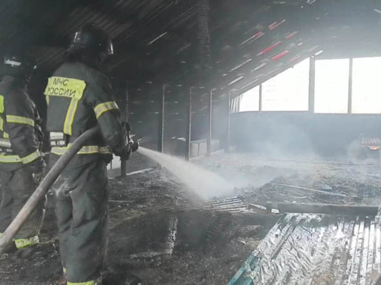 Пожар повредил 350 квадратных метров крыши кафе «Евразия» в Чите