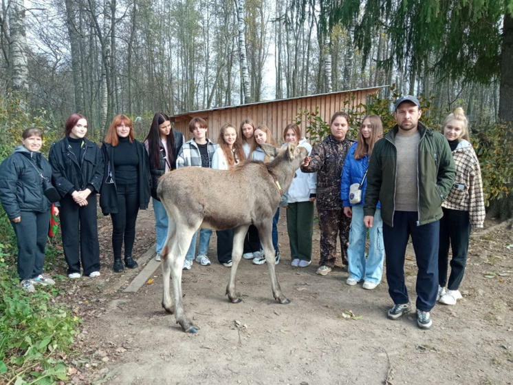 Луганские школьницы из Меловского района ЛНР впервые посетили Сумароковскую лосеферму
