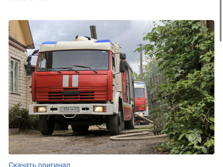 В Вязьме загорелась надворная постройка