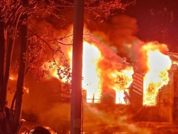 Пять человек погибли на пожаре в Нижегородской области