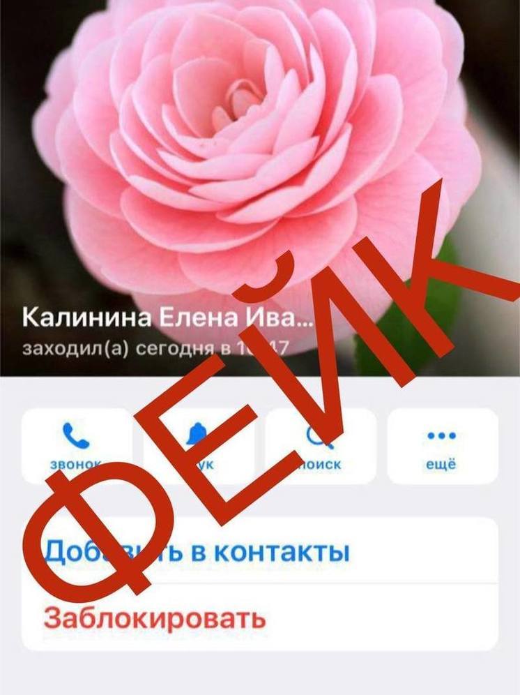 Мошенники рассылают странные сообщения от имени чиновницы из Ноябрьска