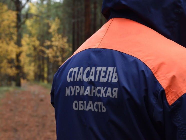 Северяне ушли за дикоросами и не вернулись