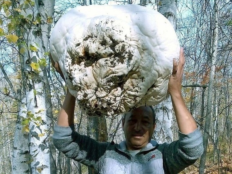 Житель Башкирии нашел в лесу 10-килограммовый гриб