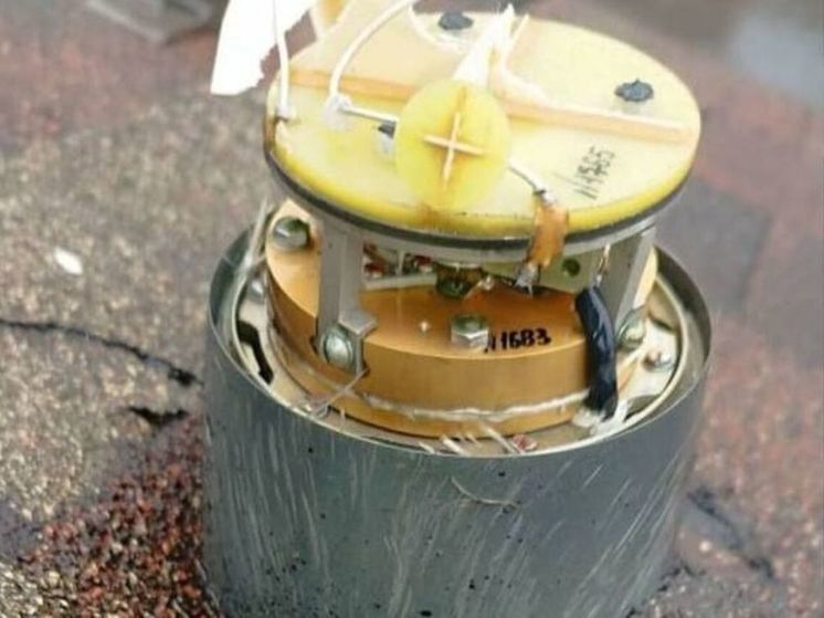 Обломки сбитого в Подмосковье БПЛА обнаружили в лесу