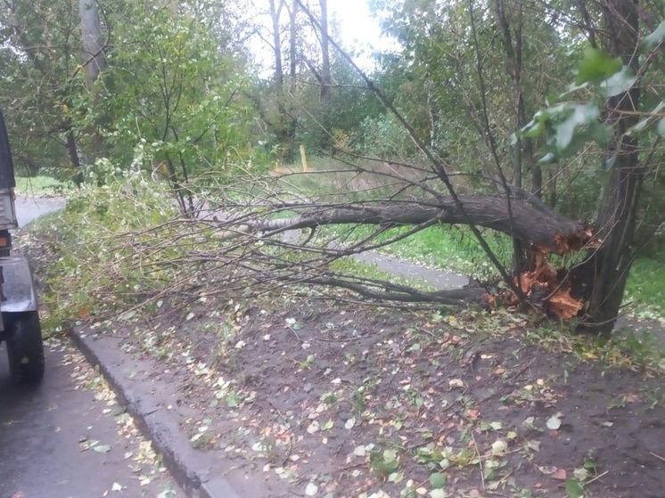 Все спасательные и оперативные службы Петрозаводска работают в авральном режиме