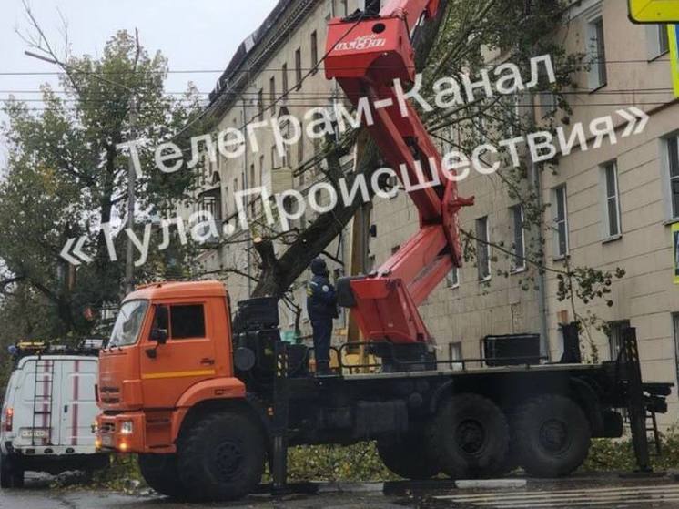 В Туле на улице Болдина дерево упало на дом