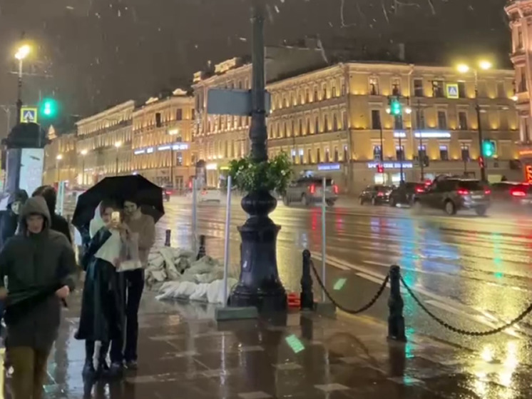 В Санкт-Петербурге выпал первый снег