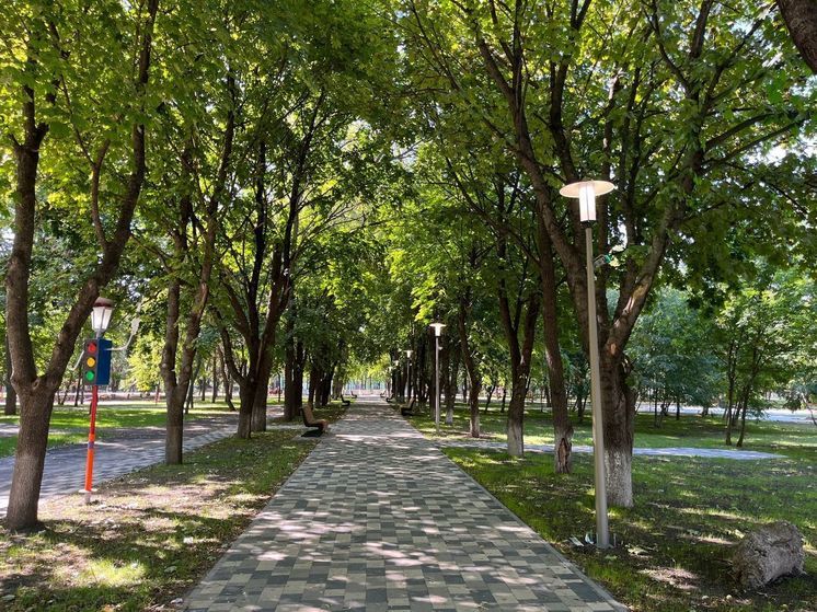 60 кормушек для птиц повесят в станичном парке  Предгорного округа