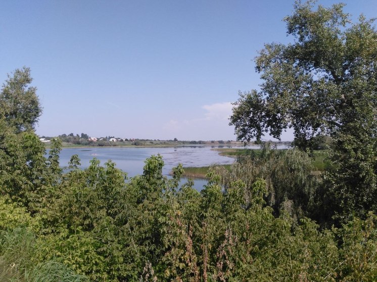 При строительстве индустриального парка пруды в Соколовом не пострадают