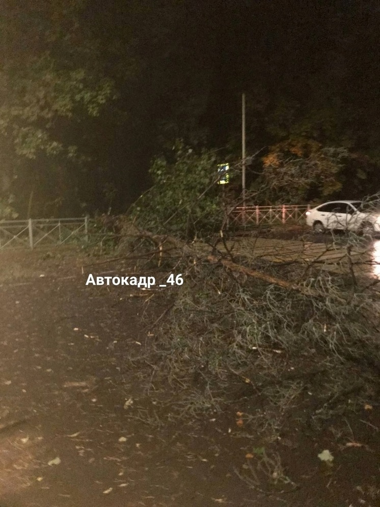 В Курской области из-за сильного ветра без света остались 27 населенных пунктов