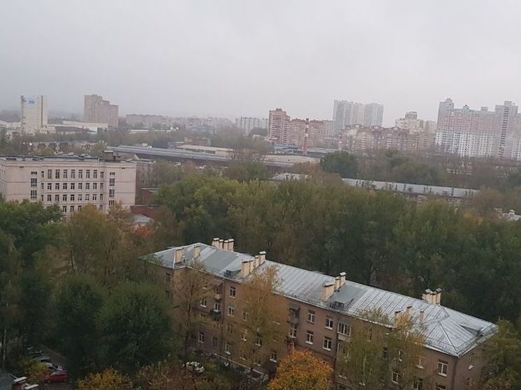 В Подмосковье сегодня ветер разгоняется до штормовых показателей - МК Московская область