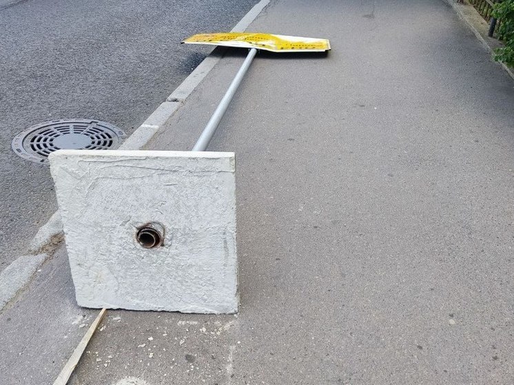 В Ленобласти рухнуло около 600 деревьев из-за мокрого снега и сильного ветра