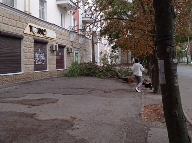 Фото логопарка в ростовской области