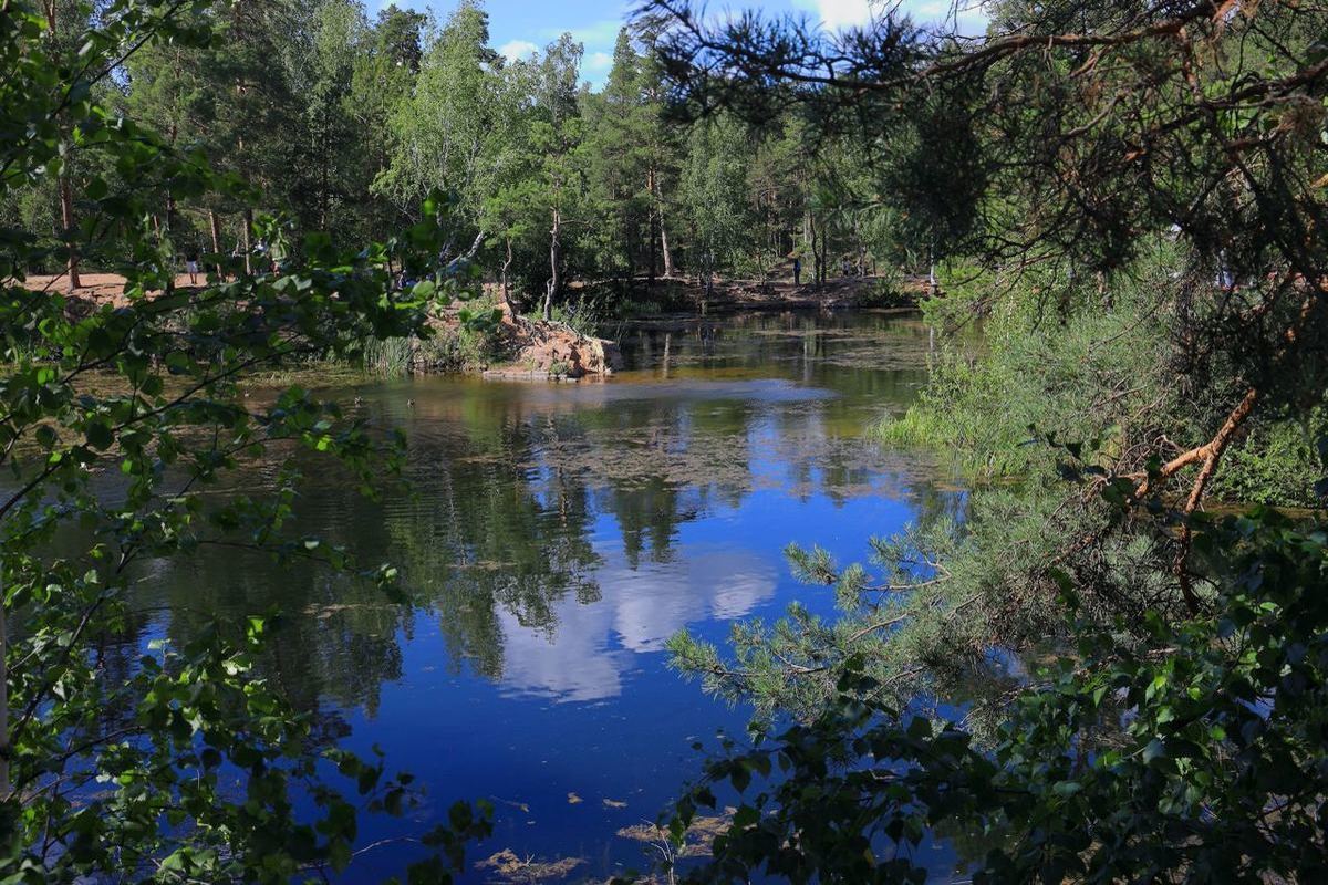 Что делать если слили фото