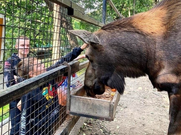 В хабаровском зоосаде подвели итоги желудевой кампании