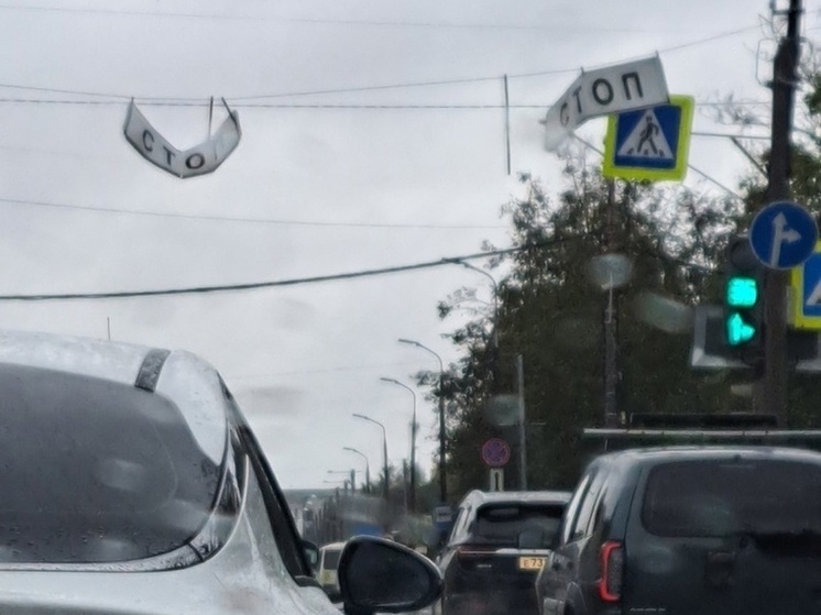 После сильного ветра в Пскове погнуло дорожные знаки