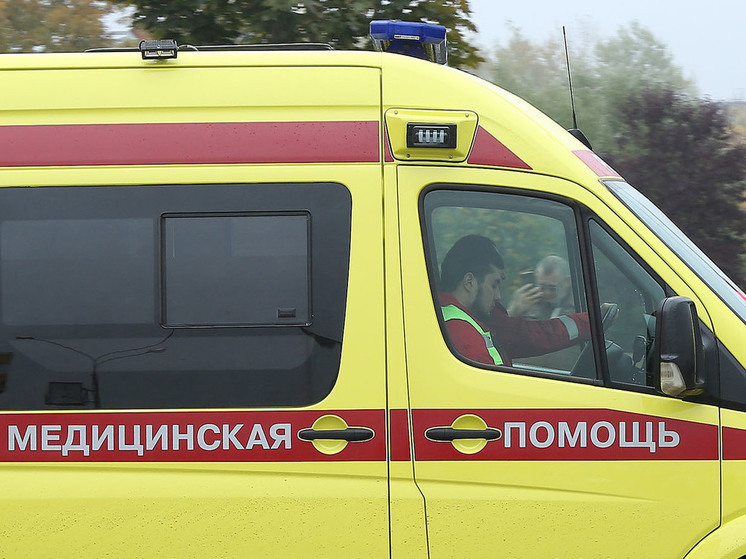В Москве трехлетний ребенок и велосипедист пострадали от падения веток