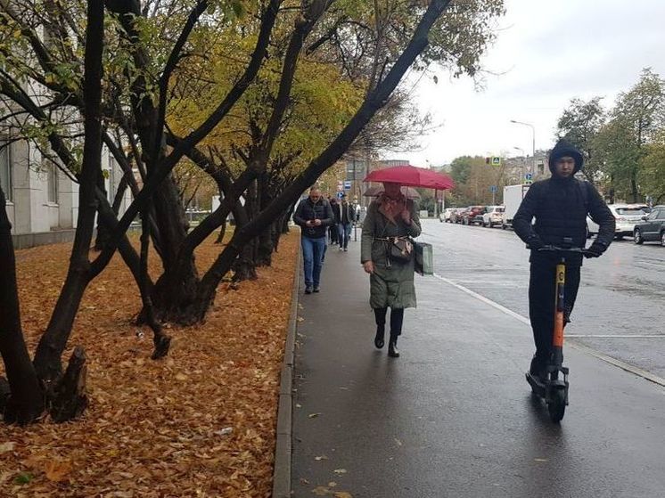 МЧС выпустило экстренное предупреждение из-за непогоды