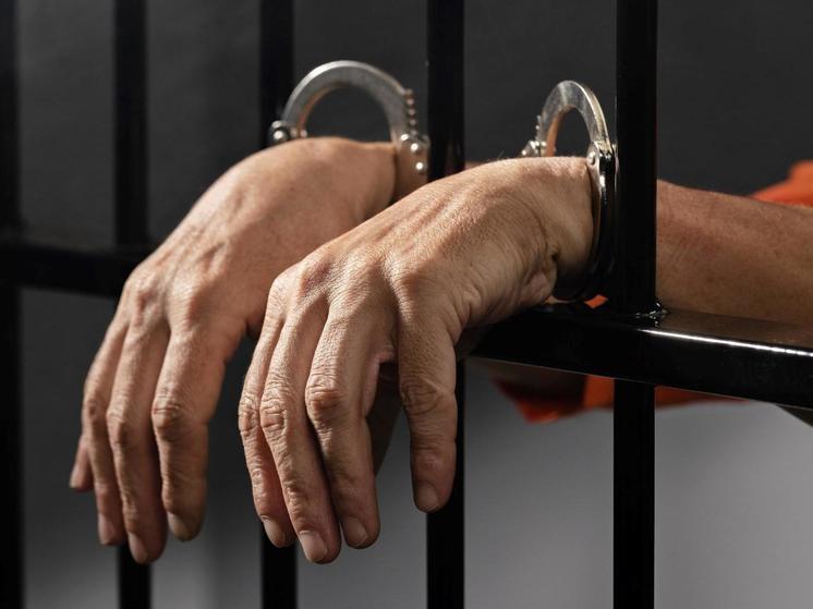 Суд не смягчил приговор брянцу и двум калужанам за разбойное нападение на пенсионерку