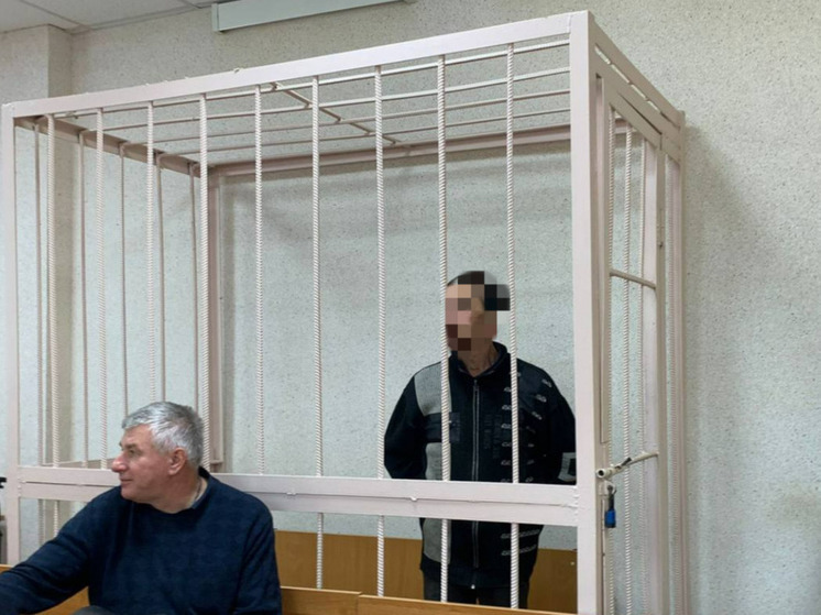Жителя Касимовского района заключили под стражу за убийство собутыльника
