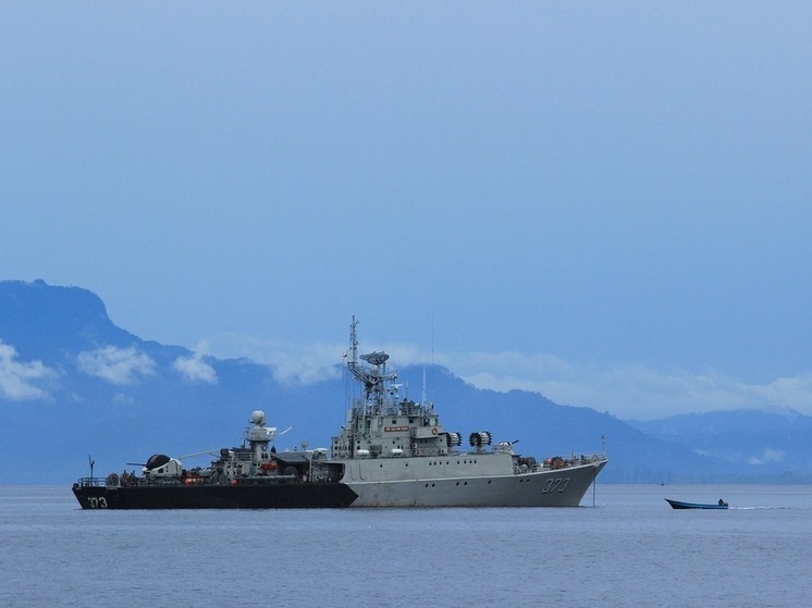 ЕС обеспокоили планы России создать военно-морскую базу в Абхазии
